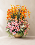 Tropical Blaze